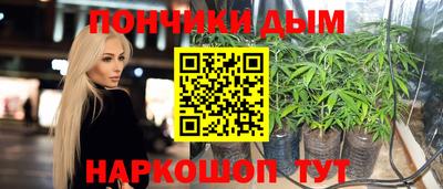 дживик Камышлов