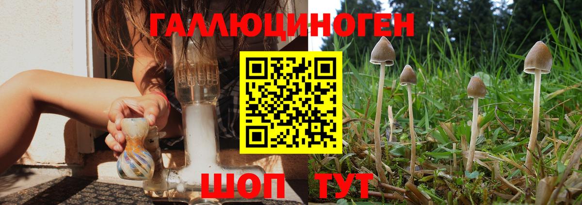 Димитровград  Псилоцибиновые грибы ЛСД  Вход с VPN  Галлюциногенные грибы MAGIC MUSHROOMS 